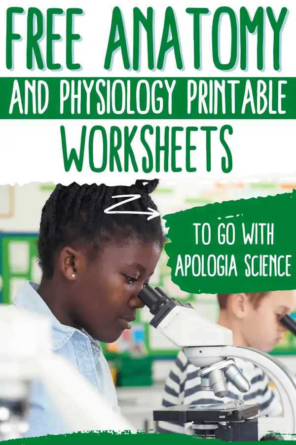 free anatomy and physiology printable worksheets to go with Apologia science