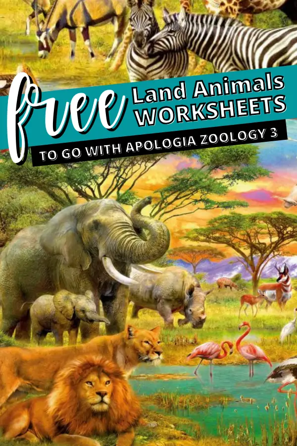 free land animals worksheets to go with Apologia\'s zoology 3