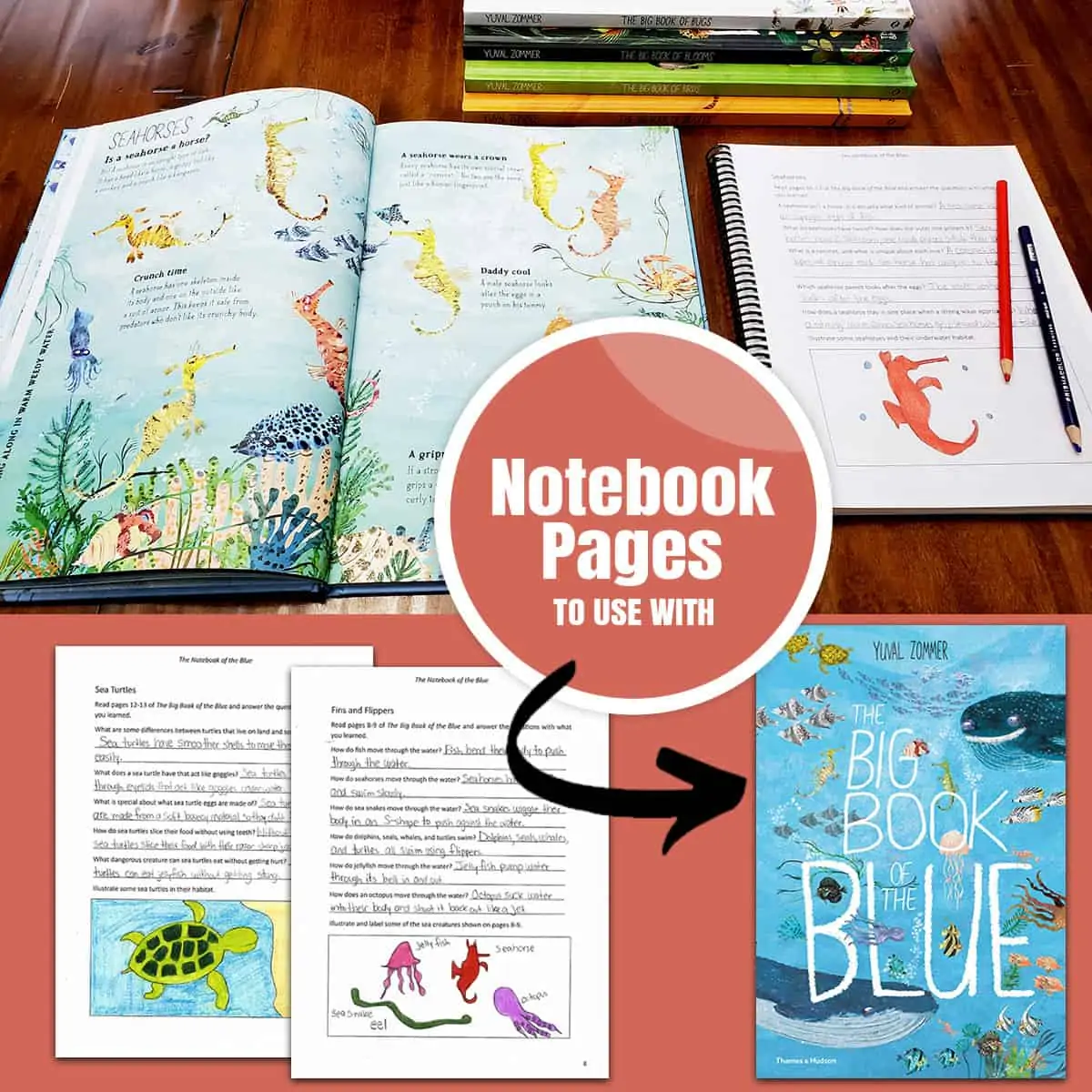 the Big Book of the Blue and note booking pages