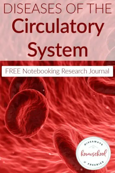 diseases of the circulatory system free notebooking research journal