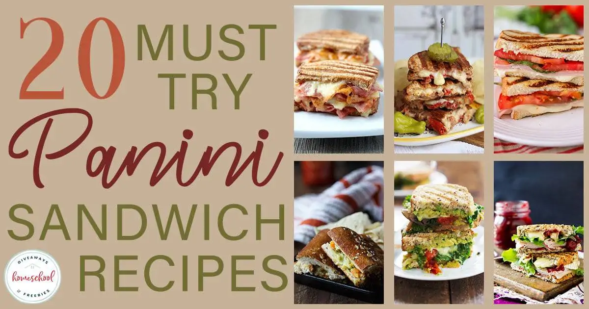 https://homeschoolgiveaways.com/2019/02/20-must-try-panini-sandwich-recipes/
