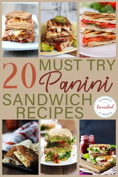 20 Must Try Panini Sandwich Recipes