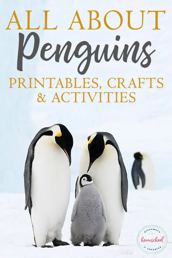 penguins printables crafts and activities