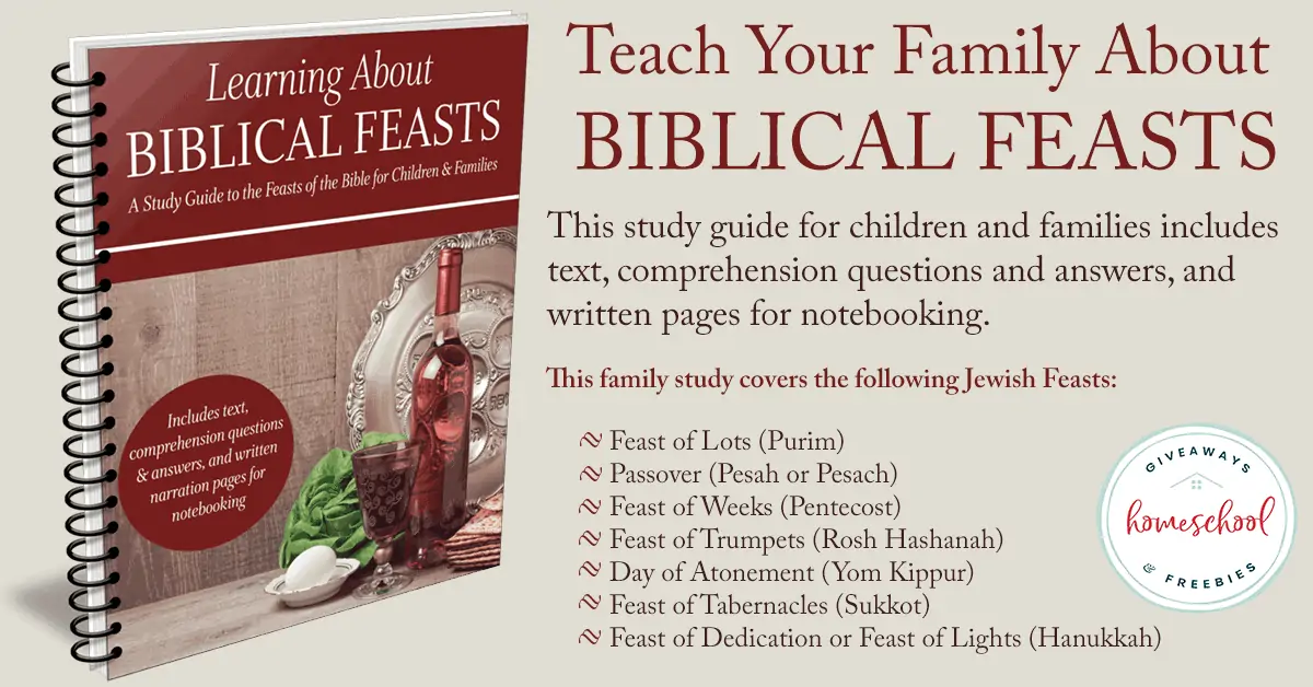 Learning About Biblical Feats workbook cover