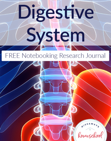 diseases-digestive-system-notebook