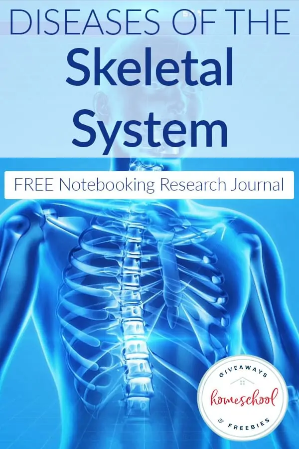 skeletal system free notebooking research journal