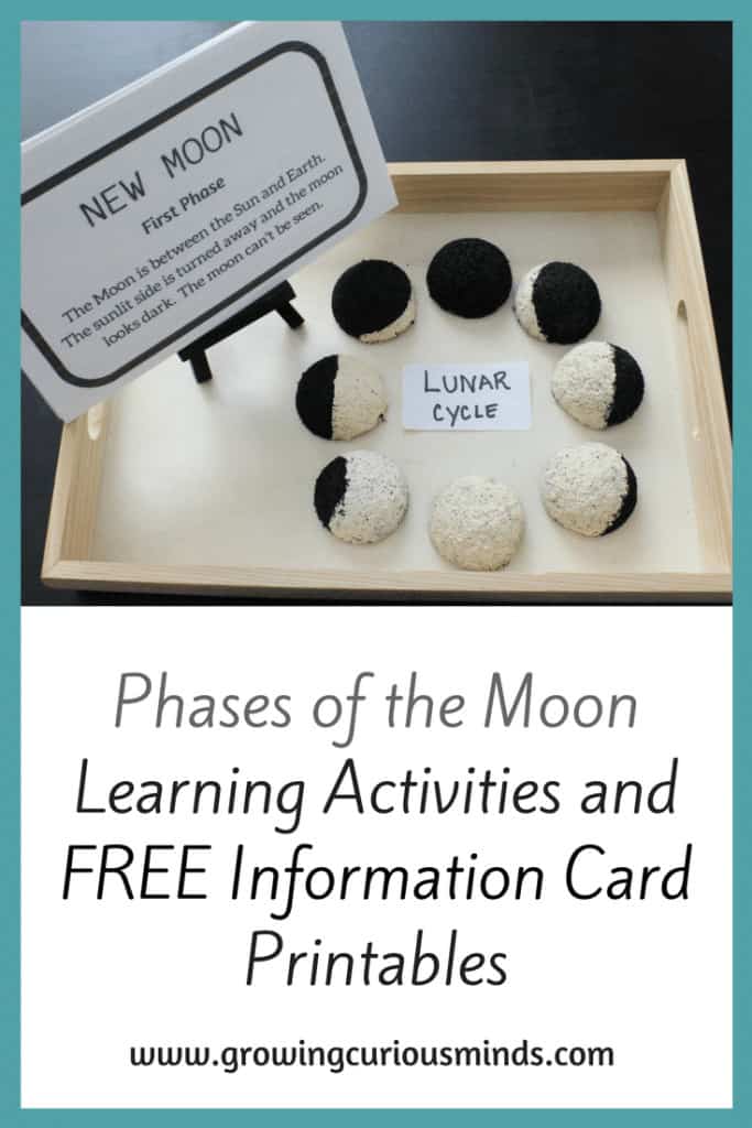 FREE Printable Phases of the Moon Information Cards and Learning Activities