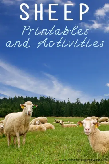 sheep printables and activities