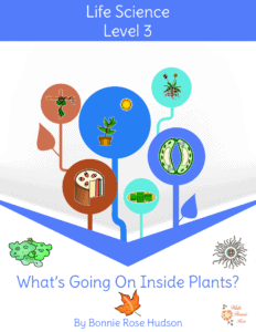 What's Going On Inside Plants