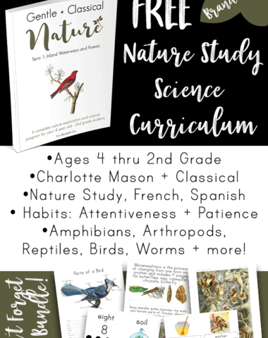 FREE Charlotte Mason Nature Study curriculum! It was created to be both CM and Classical with memorization, nature study, poetry recitation, handicrafts, and more. This BRAND NEW program is 120 pages of goodness, encouragement, and amazing resources.