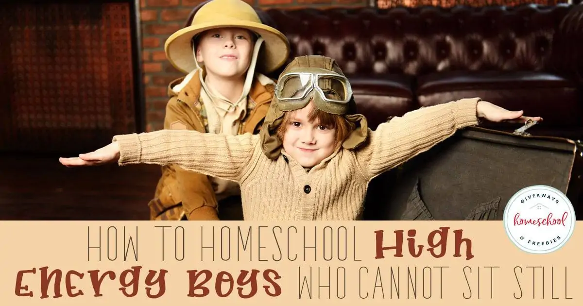 how to homeschool high energy boys who cannot sit still