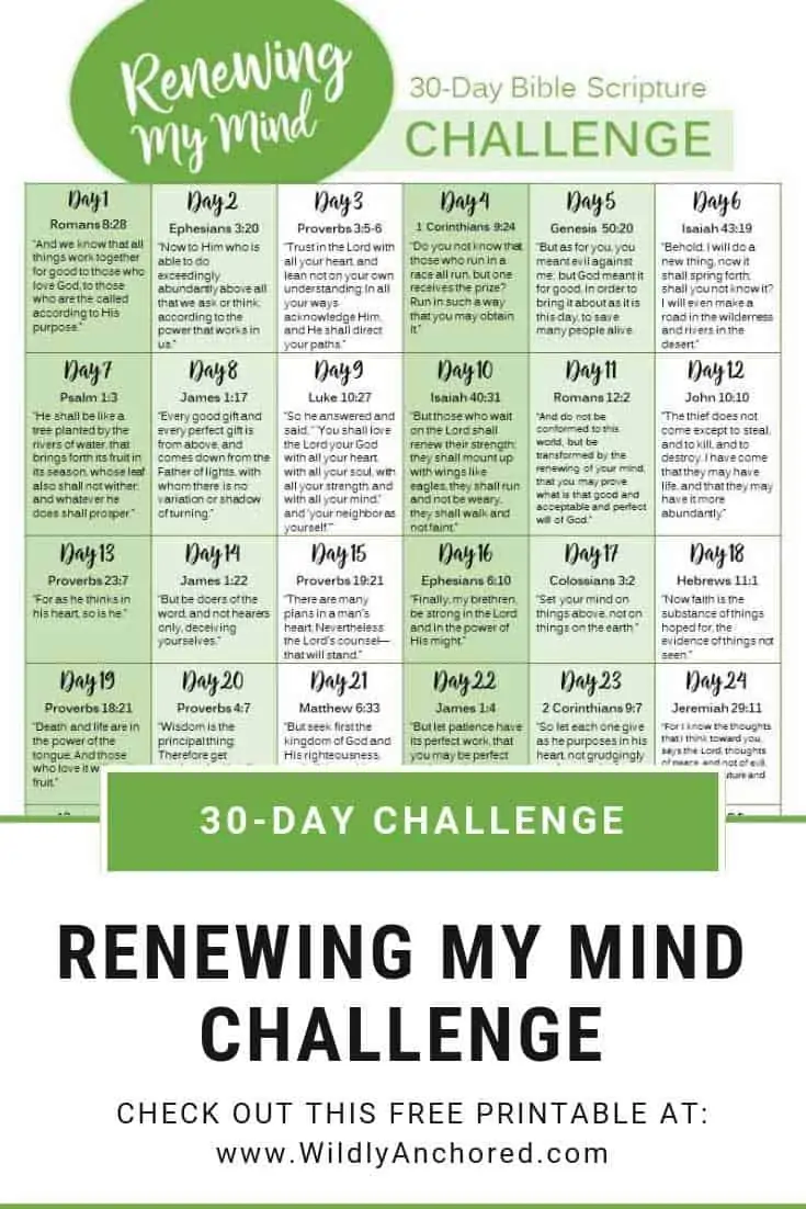 30-day challenge renewing my mind