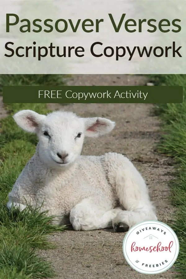 Passover Verses Scripture Copywork Free Activity text with image of a baby lamb laying on the ground