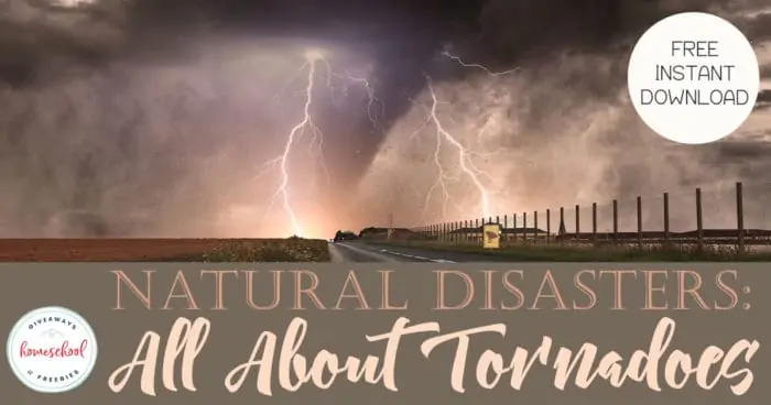 free instant download natural disasters all about tornadoes