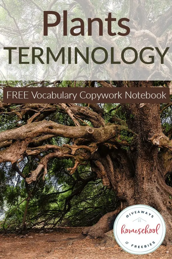 Plants Terminology Vocabulary Copywork text with background image of a large tree