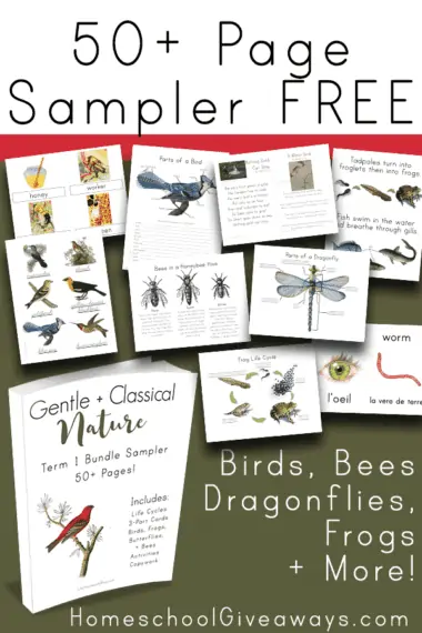 50+ page sampler free birds, bees, dragonflies