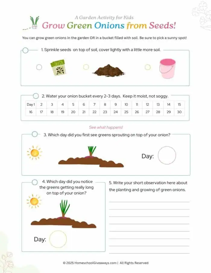 grow onions from seeds garden activity with steps