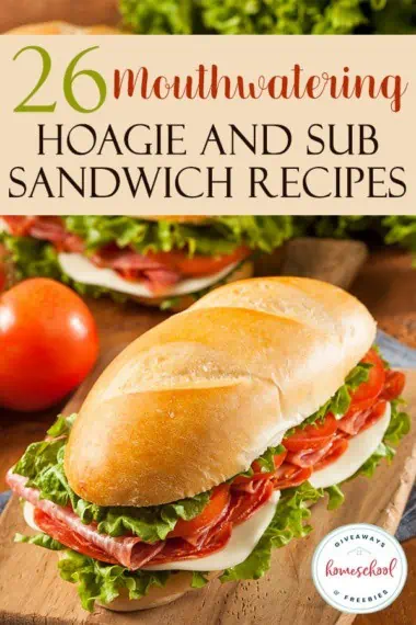 26 mouthwatering hoagie and sub sandwich recipes