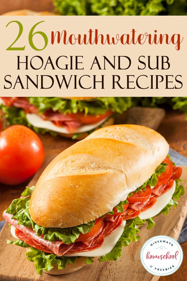 26 Mouthwatering Hoagie and Sub Sandwich Recipes