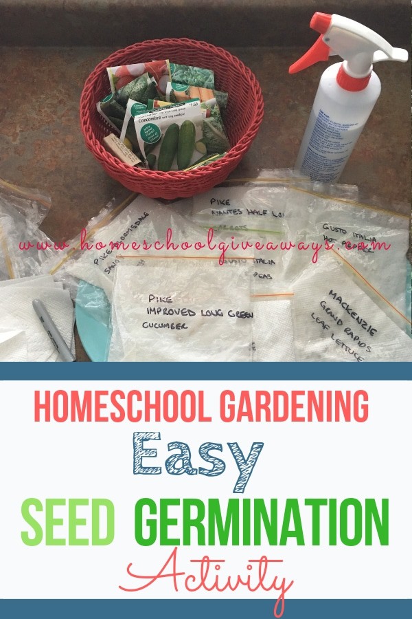 Homeschool Gardening Easy Seed Germination Activity