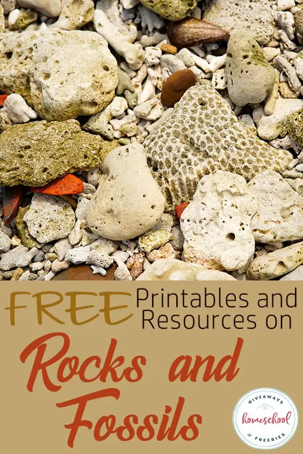 free printables and resources on rocks and fossils