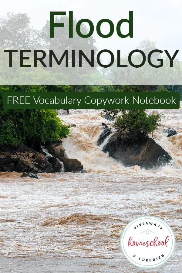flood terminology free vocabulary copywork notebook