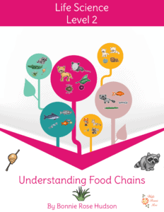 understanding food chains