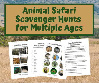 Make your next zoo field trip an adventure for everyone with these animal safari scavenger hunts. #mulitpleages #preschool #highschool #elementary #middleschool #homeschool #zootrip