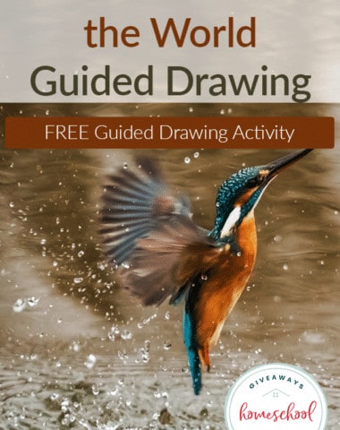 Guided-Drawing-Birds-Around-the-World