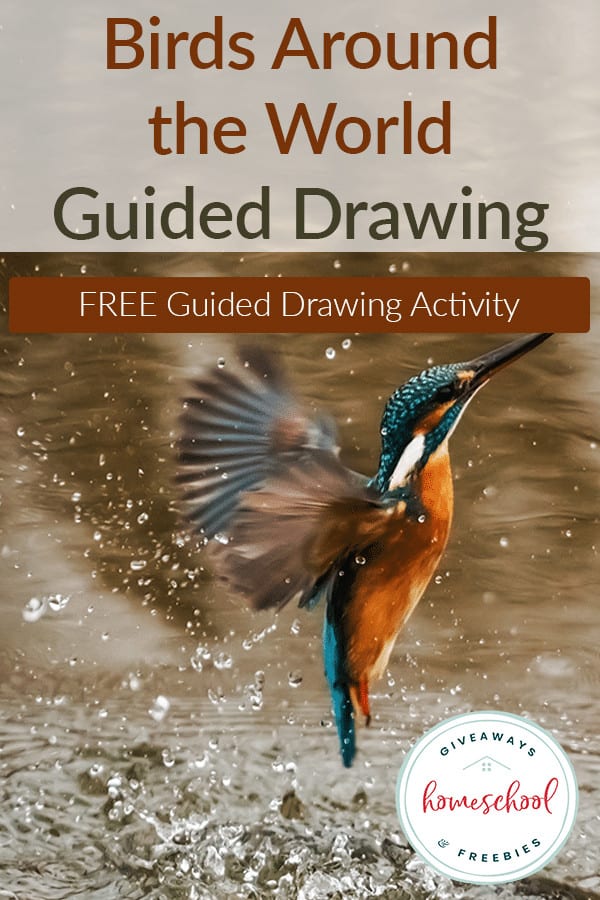 Birds Around the World Guided Drawing
