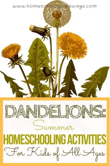 Dandelions: Summer Homeschooling Activities for Kids of All Ages