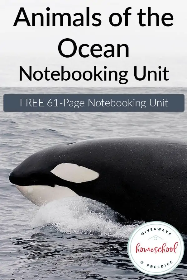 Animals of the Ocean Notebooking Unit
