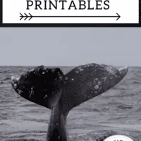 Jonah and the Whale Bible Story Printables with a picture of a whale's tail coming our of the water.