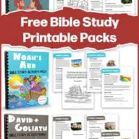 3 Bible story printable packs