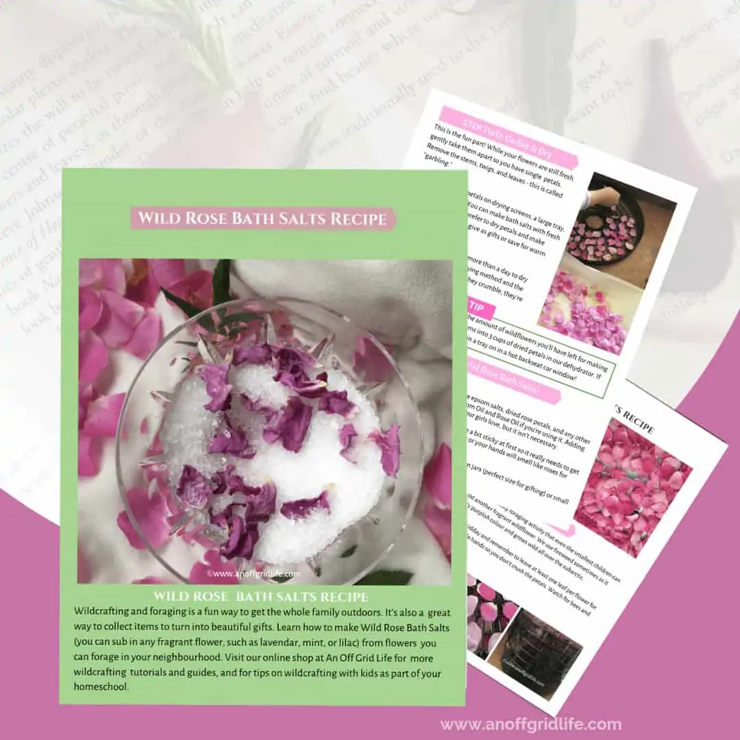 Make this Wild Rose Bath Salts Recipe with your children and they'll be ready to jump in that tub!