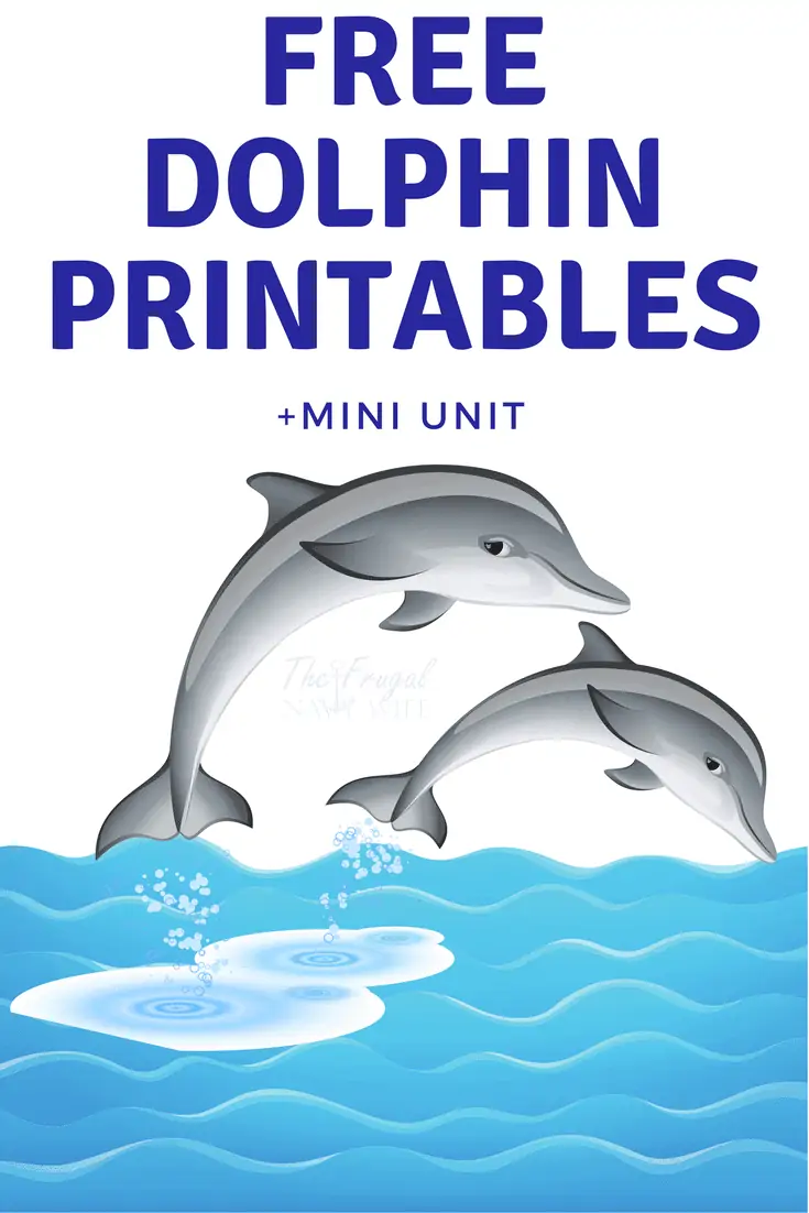 Free Dolphin Printables + Mini Unit