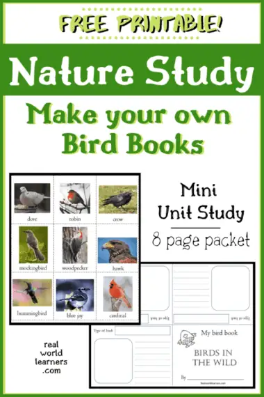 make your own nature study bird books