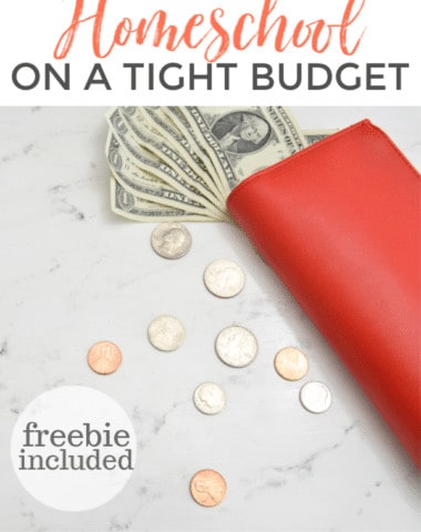 Are you thinking about homeschooling, but wondering if it can be done on a tight budget? You’re not alone - and this post is for you! Free Strategy Guide included!