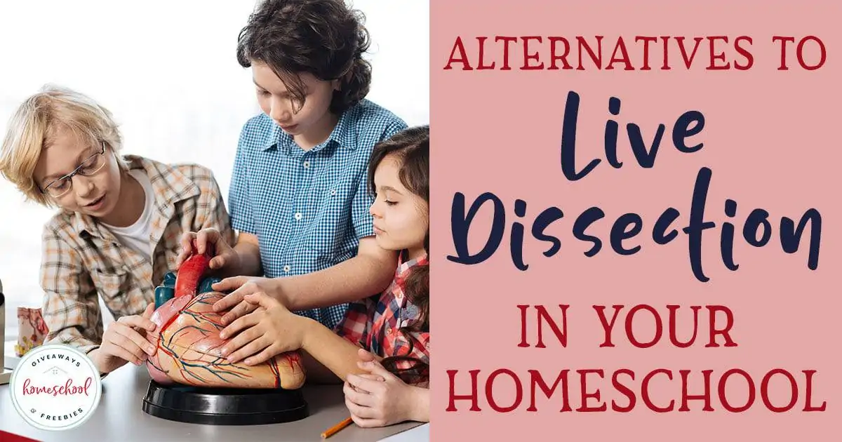 Alternatives to Live Dissections in Your Homeschool text with image of kids doing a science experiment together on a fake brain