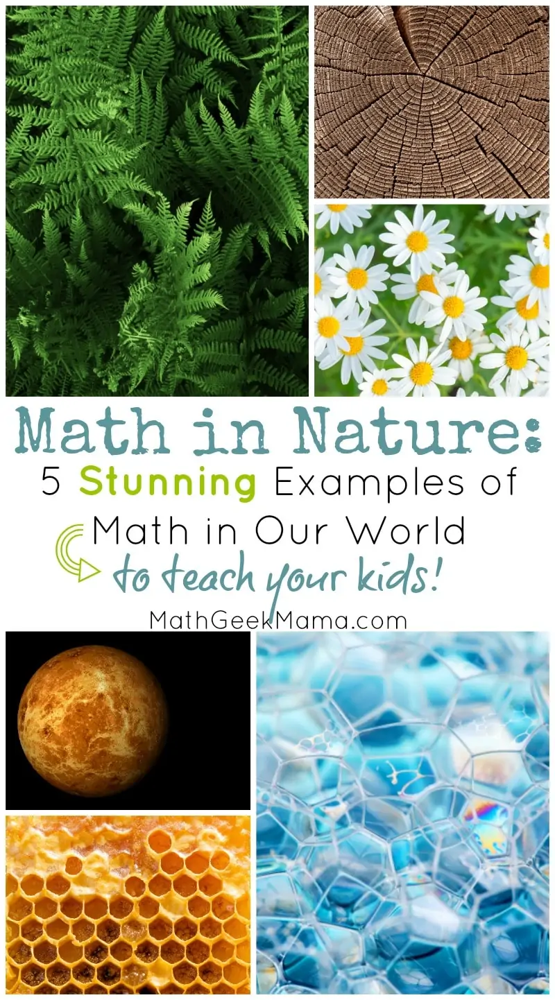 Math in Nature