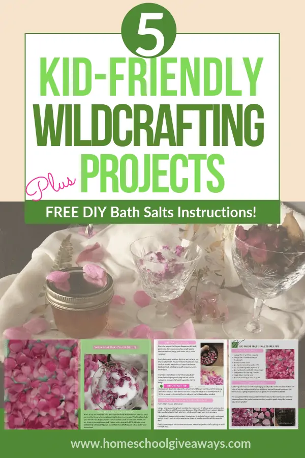 5 Kid-Friendly Wildcrafting Projects