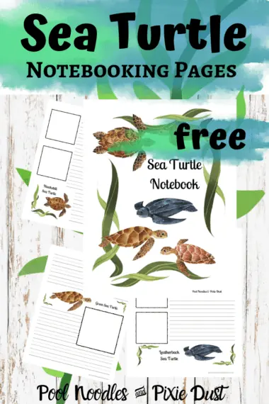 free sea turtle notebooking pages