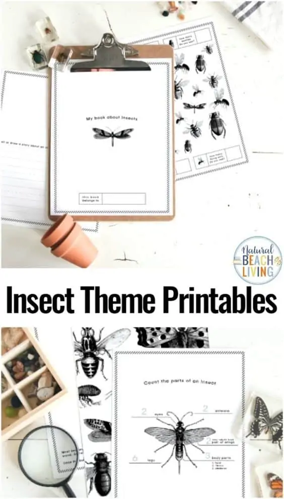 insect themed printables