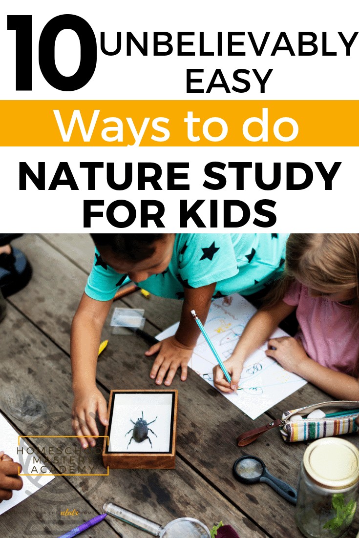 10 Unbelievably Easy Ways to do Nature Study for Kids