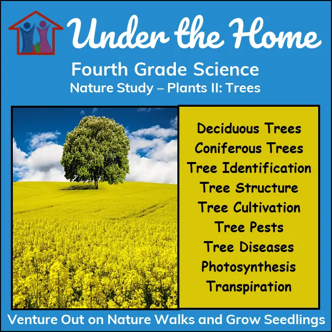Under the Home Fourth Grade Science Nature Study - Plants II: Trees