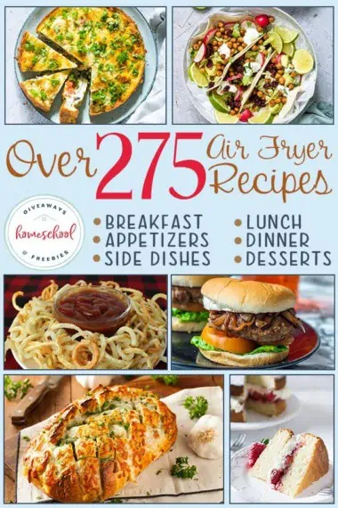 Over 275 air Fryer Recipes