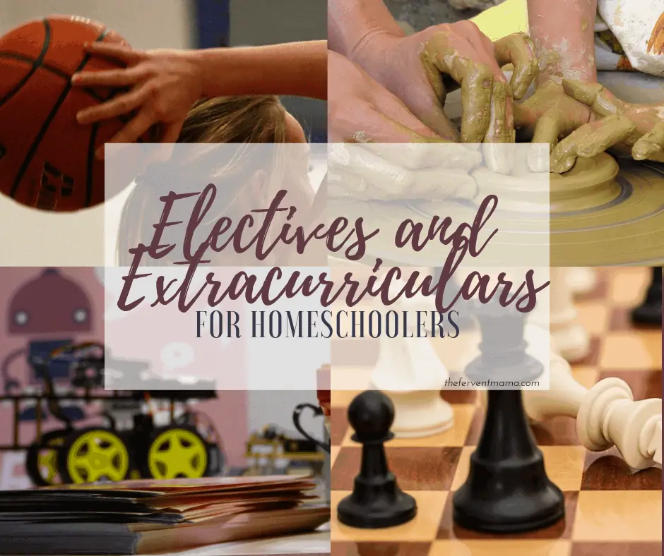 Electives and Extracurriculars for Homeschoolers