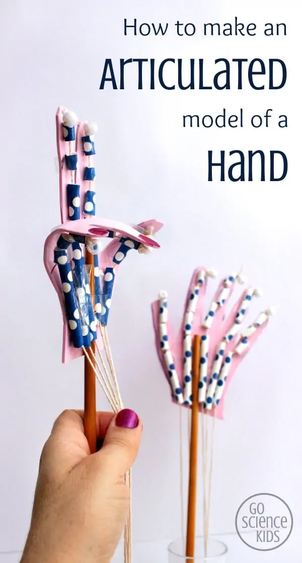 How to Make an Articulated Model of a Hand