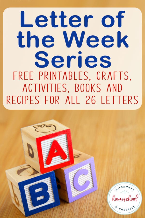 ABC building blocks with overlay - Letter of the Week Series