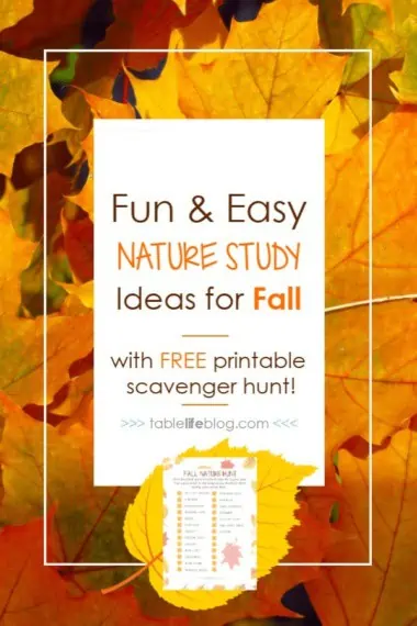 Fun & Easy Nature Study Ideas for Fall with Free Printable Scavenger Hunt!